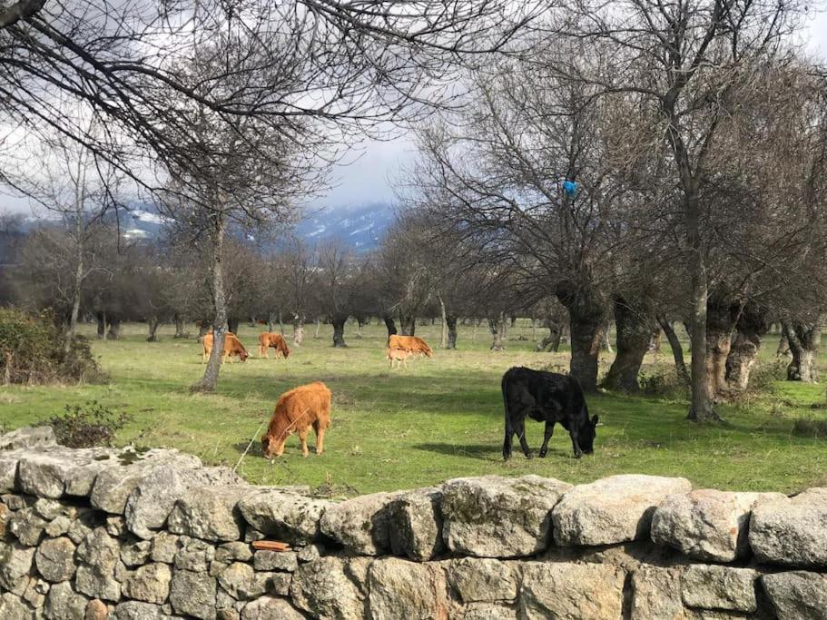 Guadarrama, Atico Nuevo Con Espectaculares Vistas Apartment ภายนอก รูปภาพ